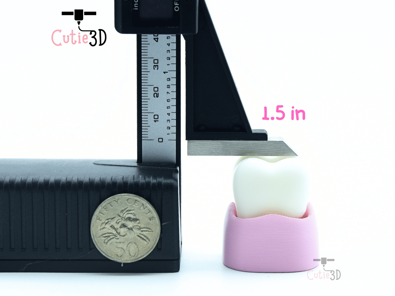 Cutie3D-Tooth and Toothbrush Fidget Clicker Keychain_04.png