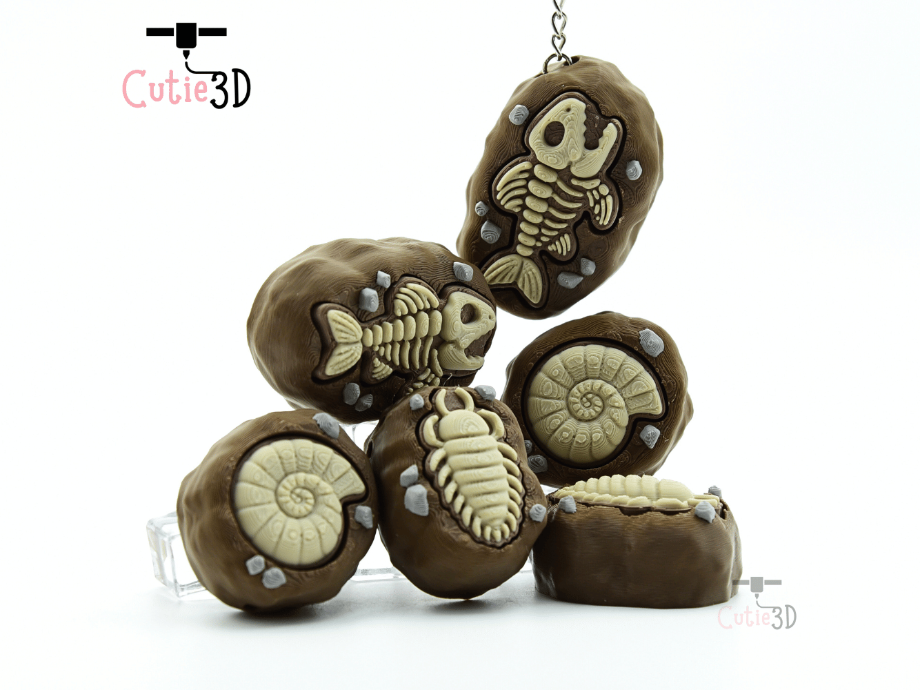 Cutie3D-Ammonite Fossil Set of Clicker Keychains_10.png