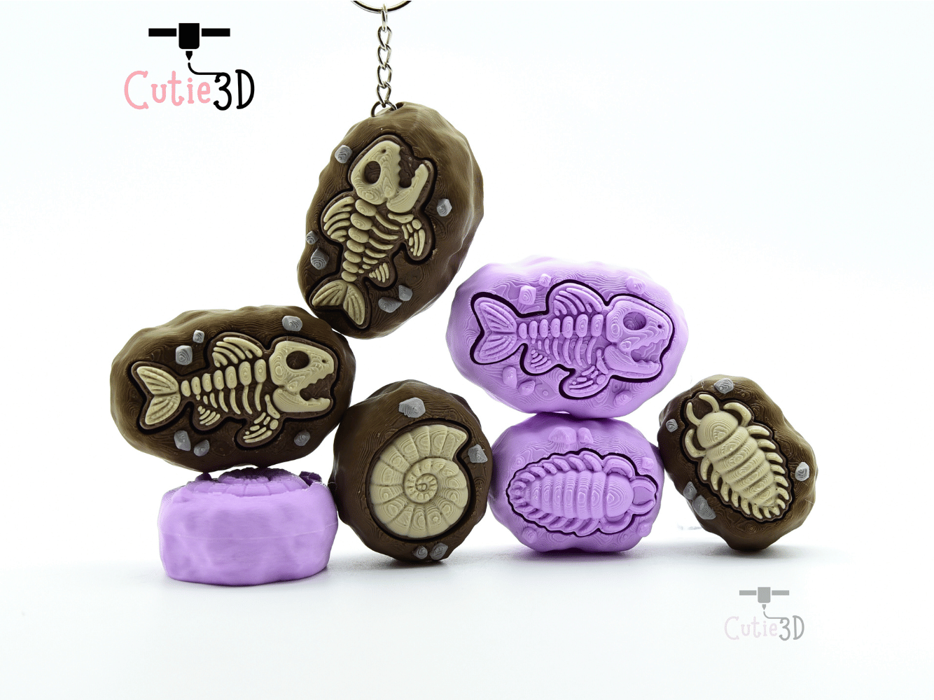 Cutie3D-Ammonite Fossil Set of Clicker Keychains_08.png