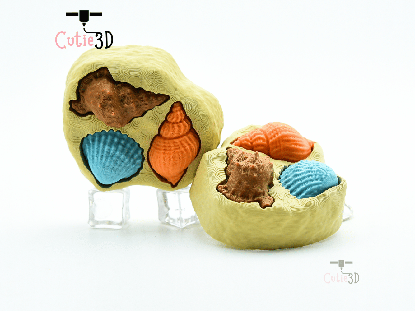 Cutie3D-Seashell Collection Fidget Clicker Keychain_10.png