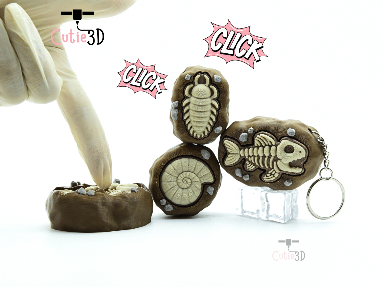 Cutie3D-Ammonite Fossil Set of Clicker Keychains_01.png