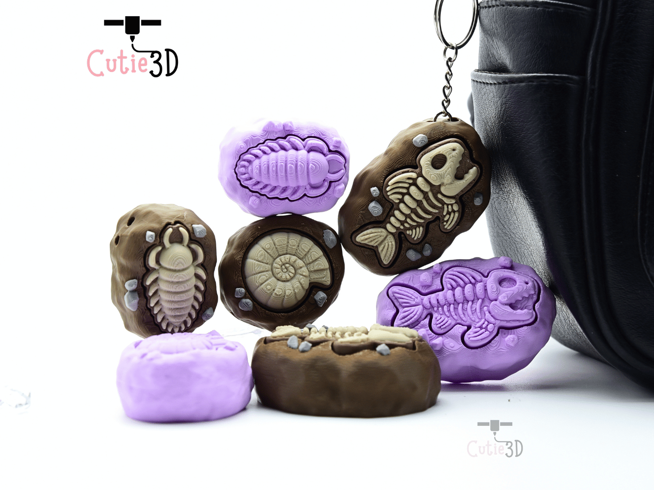Cutie3D-Ammonite Fossil Set of Clicker Keychains_05.png