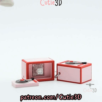 Cutie3D-Vinyl Record Box for Music Lovers Fidget Clicker Keychain_11.gif