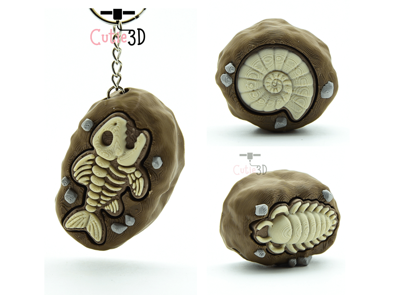 Cutie3D-Ammonite Fossil Set of Clicker Keychains_02.png