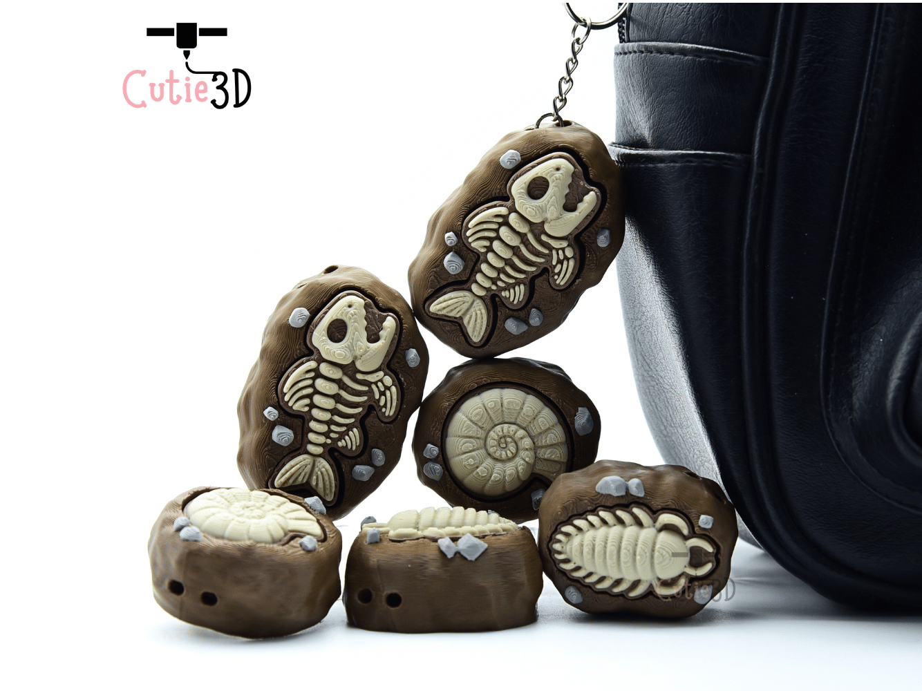 Cutie3D-Ammonite Fossil Set of Clicker Keychains_06.png