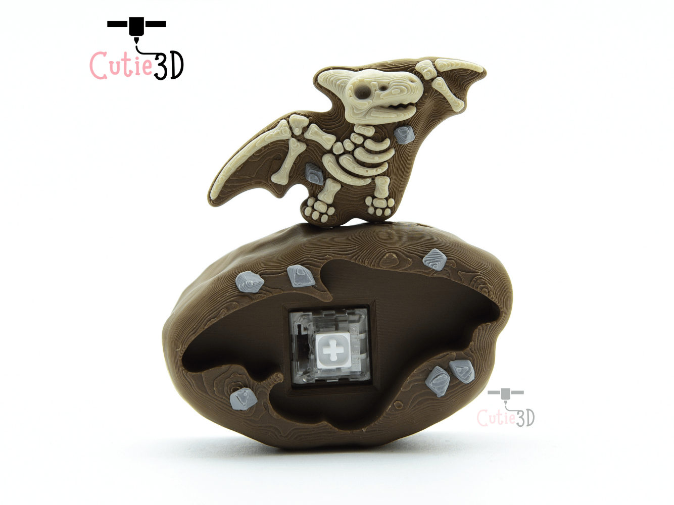 Cutie3D-Dinosaur Fossil Set of Clicker Keychains_03.png