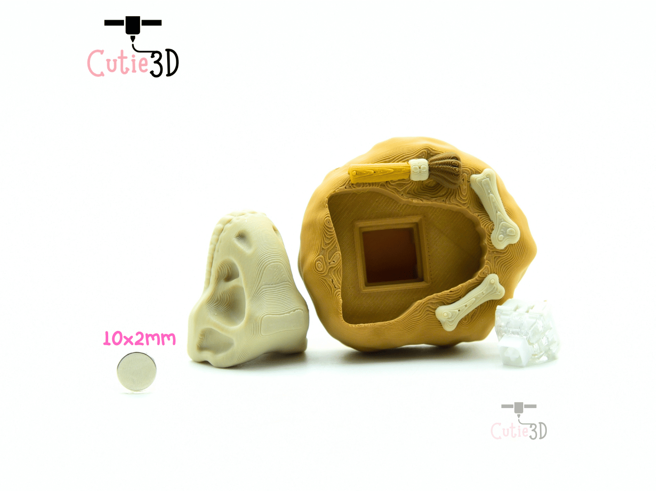 Cutie3D-Clicky Dino Discovery Magnet-Insert Clicker Keychain_03.png